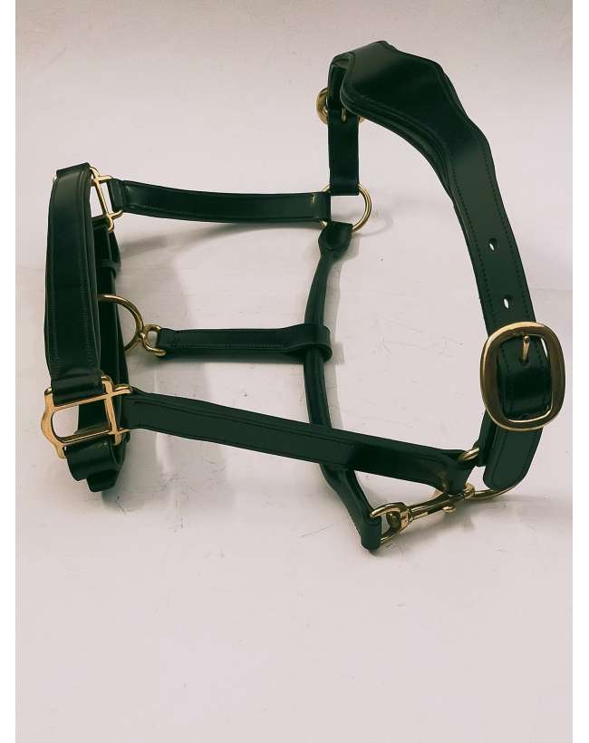 CAVEZA IN CUOIO FIBBIE OTTONE