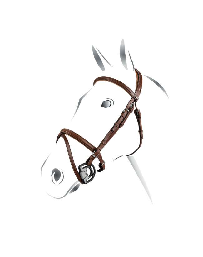 ET01000 BRIGLIA EQUESTRO