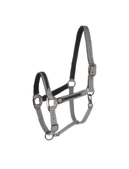 CAVEZZA E LUNGHINA EQUESTRO