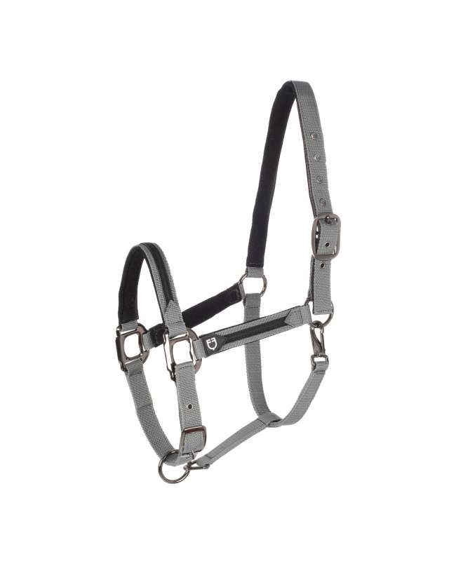 CAVEZZA E LUNGHINA EQUESTRO