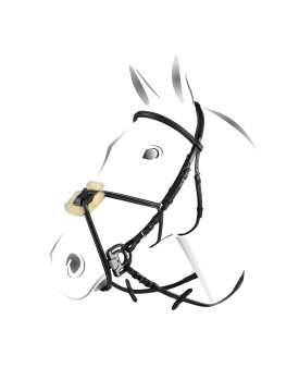 TESTIERA EQUESTRO CON CAPEZZINA MESSICANA-19714