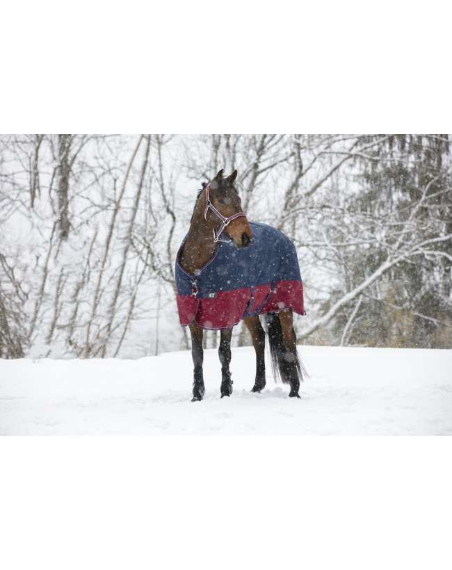 COPERTA PADDOCK 1200 denari 300 grammi