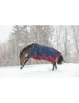 COPERTA DA PADDOCK EQUITHEME 1200 DENARI 300 GRAMMI-20513