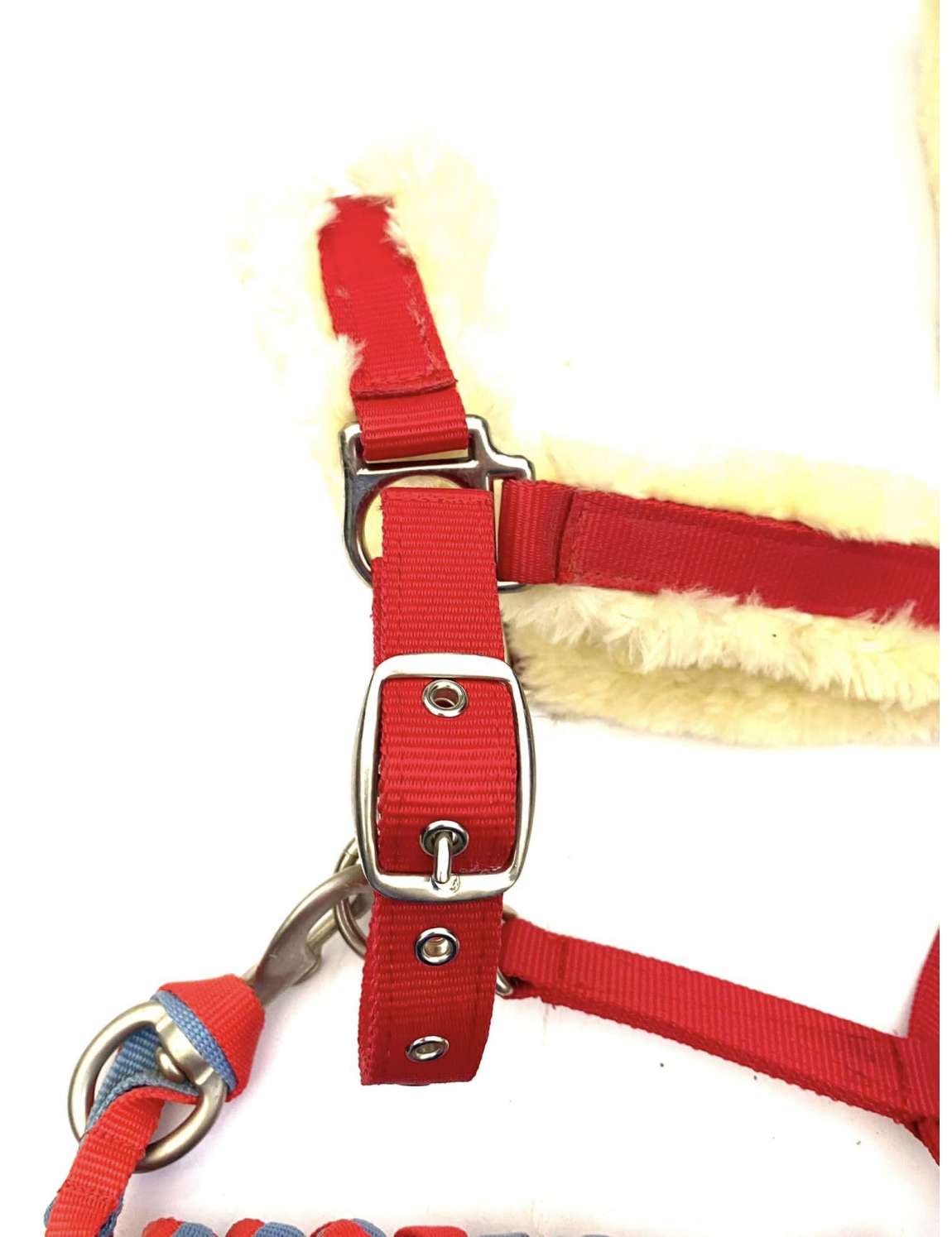 Cavezza In Nylon Riding World Per Cavallo – Rosso, Taglia Regolabile (Pony/Cavallo)