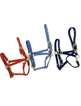 CAVEZZA PREMIUM WALDHAUSEN FIBBIE ACCIAIO SATINATO-21582