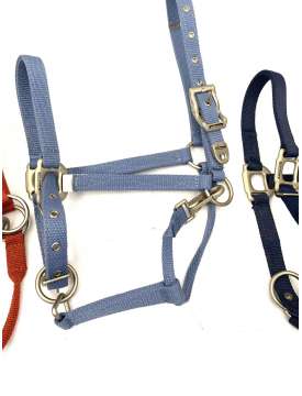CAVEZZA PREMIUM WALDHAUSEN FIBBIE ACCIAIO SATINATO-21583