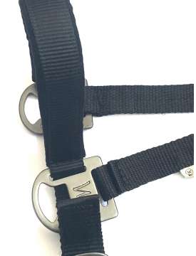 CAVEZZA FIBBIE NERE WALDHAUSEN-22139