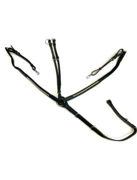 PETTORALE INGLESE BASIC CLINCHER ARGENTO-22800