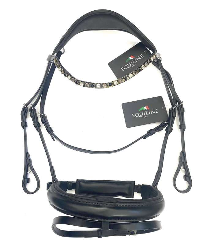 TESTIERA EQUILINE CON SOVRA CAPO ANATOMICO