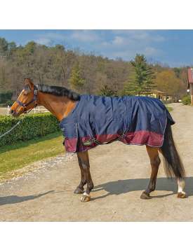 COPERTA DA PADDOCK WINNER INVERNALE IMBOTTITA 3/4 DI 300GR-23881