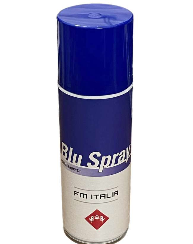 BLU SPRAY DISINFETTANTE CAVALLI