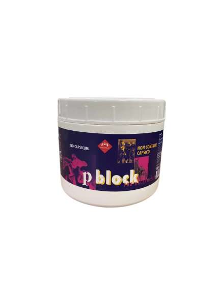 PAIN BLOCK CONTRO DOLORI USO ESTERNO