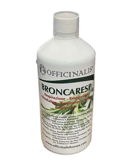 BRONCARESP OFFICINALIS PER RESPIRAZIONE CAVALLO