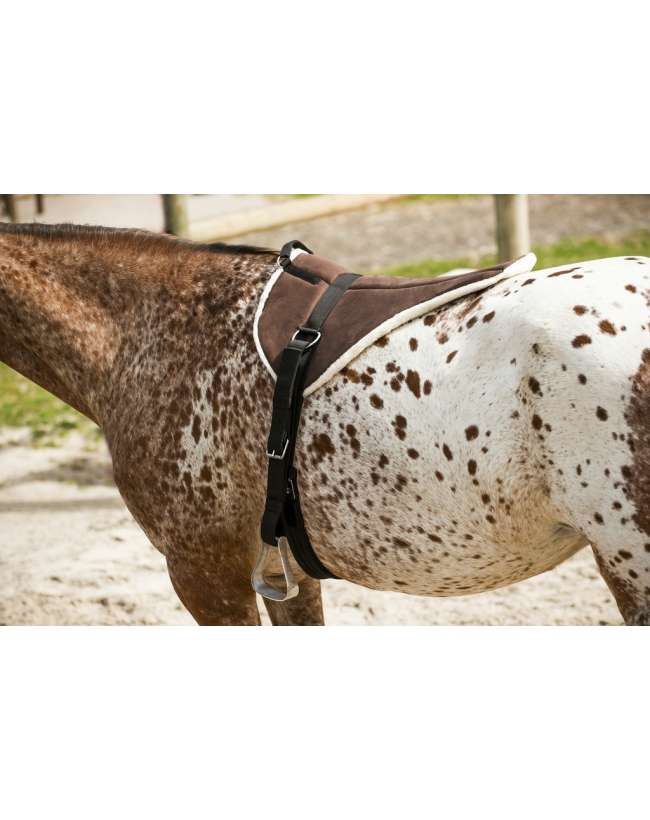 BAREBACK PER CAVALLO