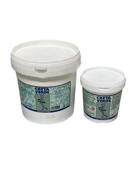 CRETA VERDE CON OLII OFFICINALI PER ARTI-24750