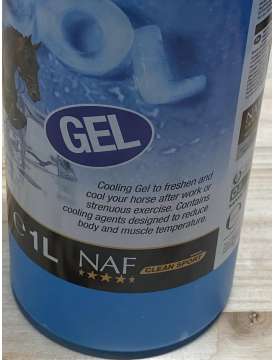 GEL TENDINI RINFRESCANTE DA LITRO SENZA MENTOLO-25249