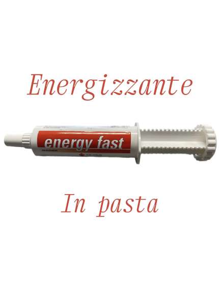 INTEGRATORE ENERGY FAST ENERGIZZANTE PER CAVALLI