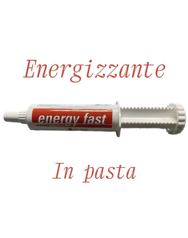 ENERGY FAST PASTA ENERGIZZANTE PER CAVALLI