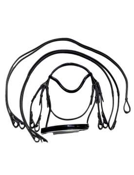BRIGLIA DRESSAGE CON RIPORTI BIANCHI-25994