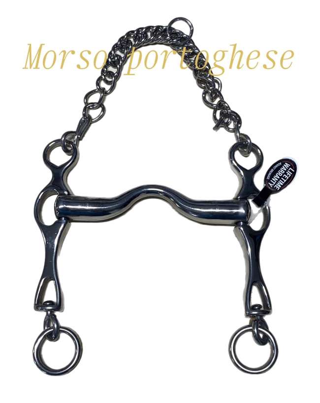 MORSO PORTOGHESE CON PONTE