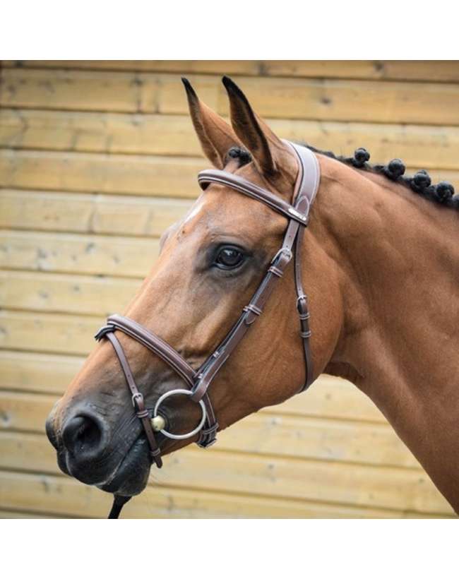 TESTIERA JUMP-IN BRIDON LONDON CON REDINI IN GOMMA
