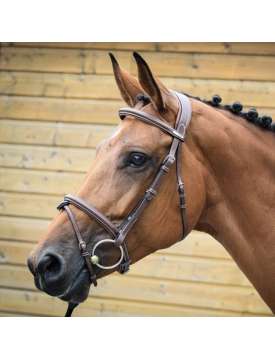 TESTIERA JUMP-IN BRIDON LONDON CON REDINI IN GOMMA-26313