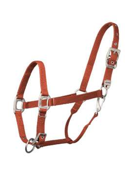 CAVEZZA PREMIUM WALDHAUSEN FIBBIE ACCIAIO SATINATO-265