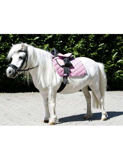 SELLA INGLESE CON ACCESSORI PER PONY SHETTY