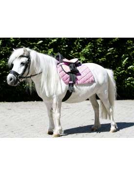 SELLA INGLESE CON ACCESSORI PER PONY SHETTY-26673