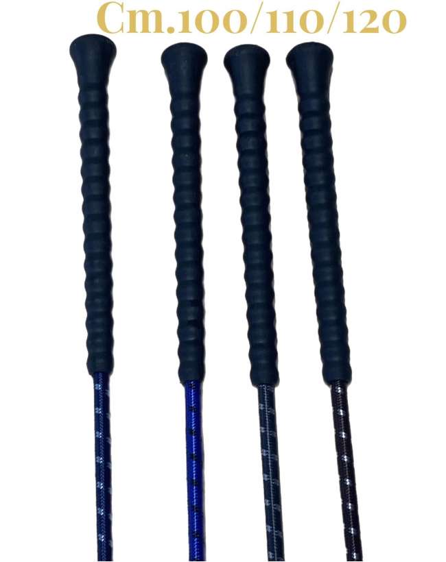 FRUSTINO DRESSAGE FLECK COLORATO