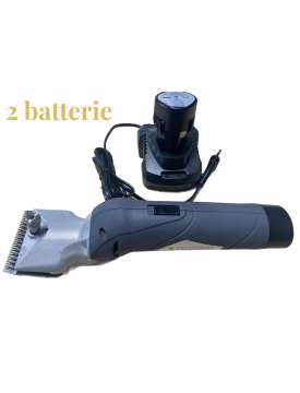 TOSATRICE WALDHAUSEN A BATTERIA-26839