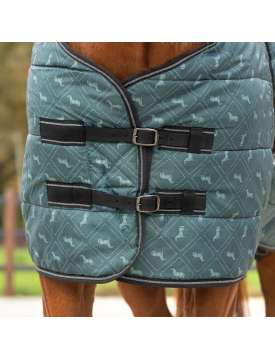 COPERTA DA BOX 200 GR. VERDE STAMPA CAVALLINI-27003
