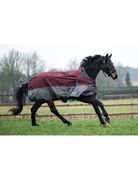 COPERTA DA PADDOCK COLLO ALTO 200GR. BICOLORE 600DENARI-27400