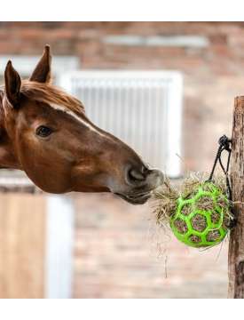 PALLA PER FIENO CAVALLO-27500