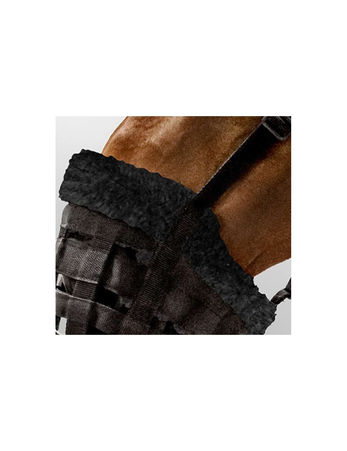 Kincade Muserola Classica In Pelle Per Cavallo - Colore Nero - Regolabile Con Fibbia