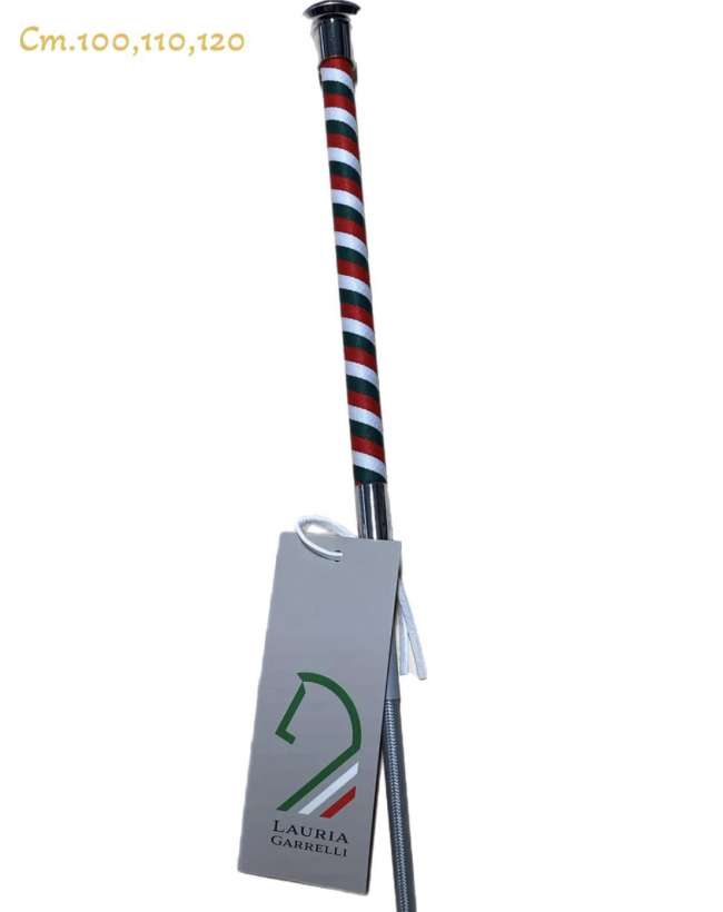 frustino dressage lauria garrelli bandiera italia