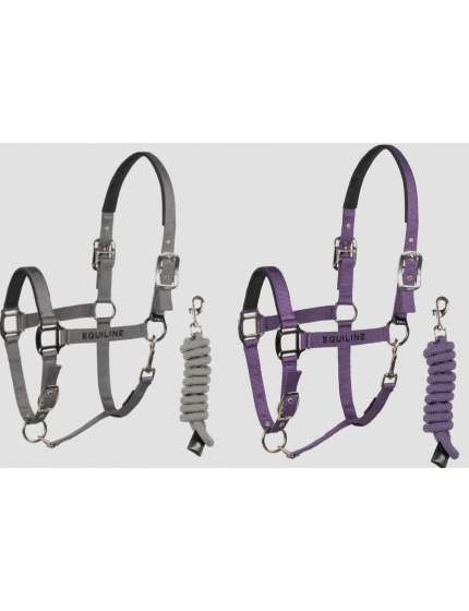 SET CAPEZZA E LUNGHINA EQUILINE GRIGIA E VIOLA