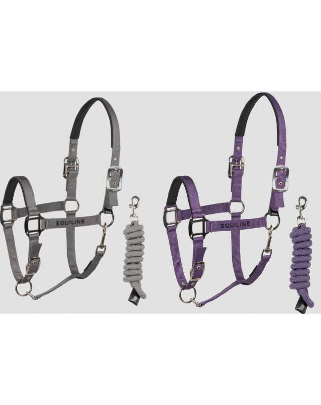 SET CAPEZZA E LUNGHINA EQUILINE GRIGIA E VIOLA