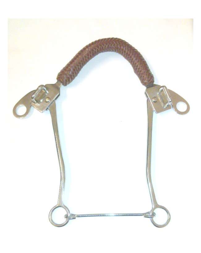 HACKAMORE WESTERN