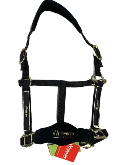 CAVEZZA IN NYLON JOHN WHITAKER