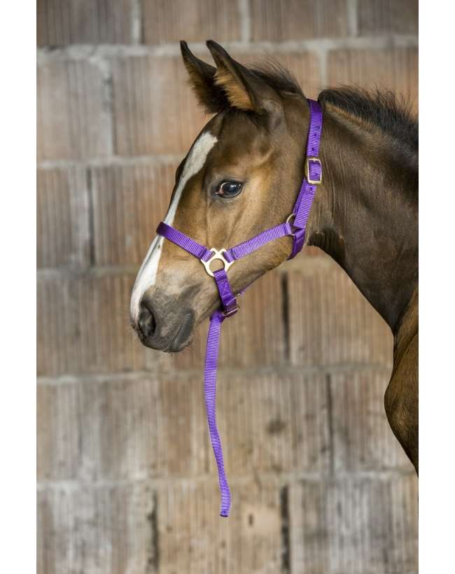 CAVEZZA IN NYLON PER PULEDRO