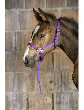 CAVEZZA IN NYLON PER PULEDRO-28332