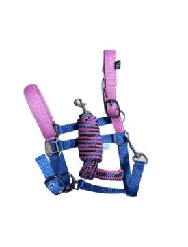 CAVEZZA PER SHETLAND CON LUNGHINA-28943