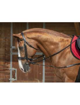 REDINI ELASTICHE CON CARRUCOLA-29143