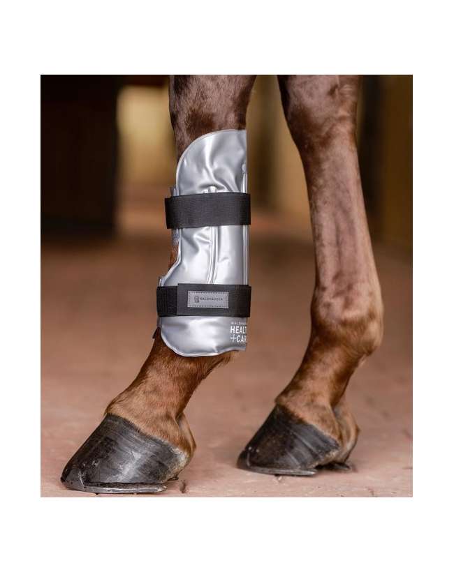 IMPACCO CALDO FREDDO PER TENDINI CAVALLO