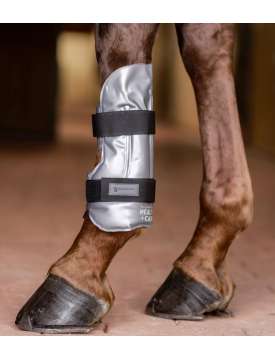 IMPACCO CALDO FREDDO PER TENDINI CAVALLO-29370