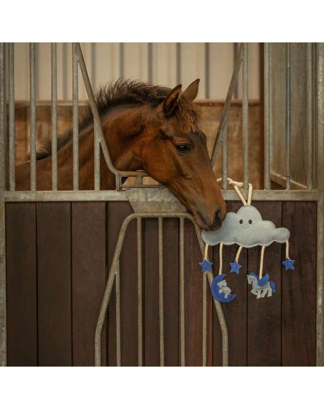 HORSE TOY DA BOX