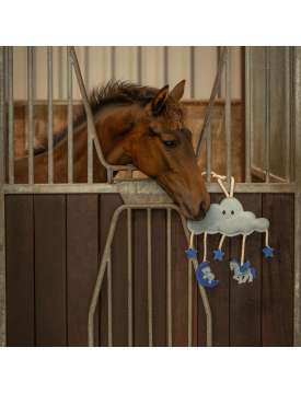 HORSE TOY DA BOX PER CAVALLO-29502