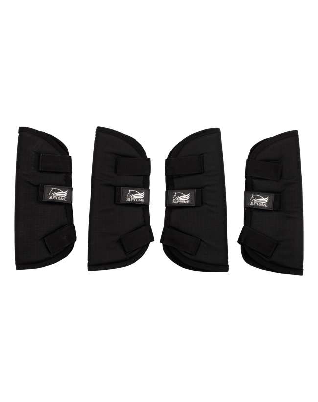 PARACOLPI DA TRASPORTO PER CAVALLO