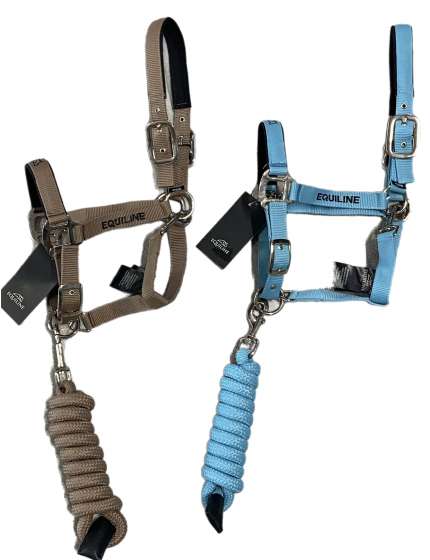 CAVEZZA E LUNGHINA EQUILINE PER CAVALLO
